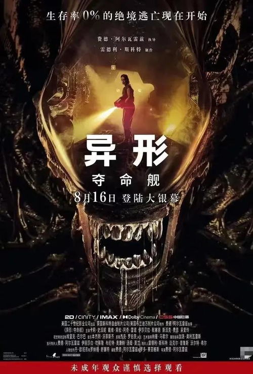 公主的魔法新衣