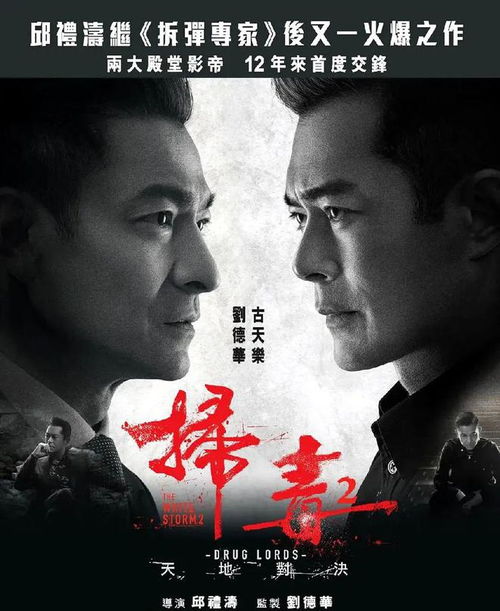 虎胆俏佳人